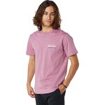 Rip Curl Down The Line Short Sleeve Tee Mens Mauve