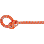 Mammut Crag 8.7 Sender Dry Rope Vibrant Orange - Zen (Dry Standard)