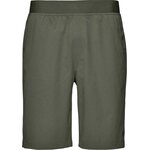 Black Diamond Sierra Shorts Mens Tundra