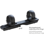 Dentler Mounting Rail BASIS, Rengaskiinnitteinen Ring