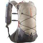 Salomon XT 10 Set Feather Gray / Plum Kitten / Cherry Tomato