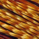 Whiting Kukonniska 1/2 Bronze Barred Dark Ginger