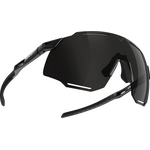 Dynafit Alpine Sunglasses Black Out / Nimbus CAT 3