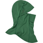 Arc'teryx Rho Lightweight Wool Balaclava Eden