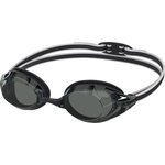 Speedo Vanquisher 3.0 Speedo Black/Smoke