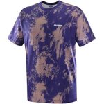 Salomon Canopy Print Tee Mens Astral Aura