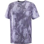 Salomon Canopy Print Tee Mens Blue Granite