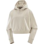Salomon Logo Short Hoodie Womens Rainy Day