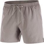 Salomon SHKout Core 5" Shorts Mens Iron