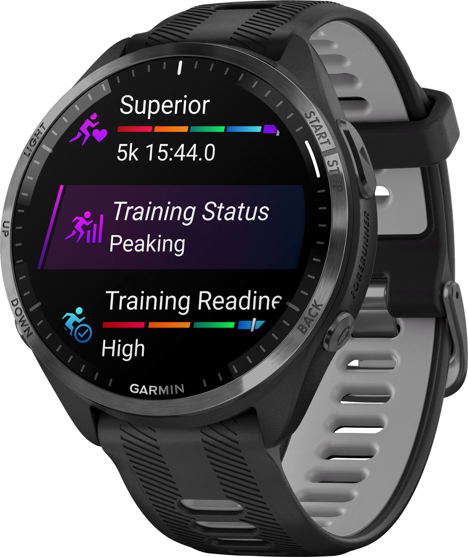 Garmin Forerunner 965 Black/Powder Gray