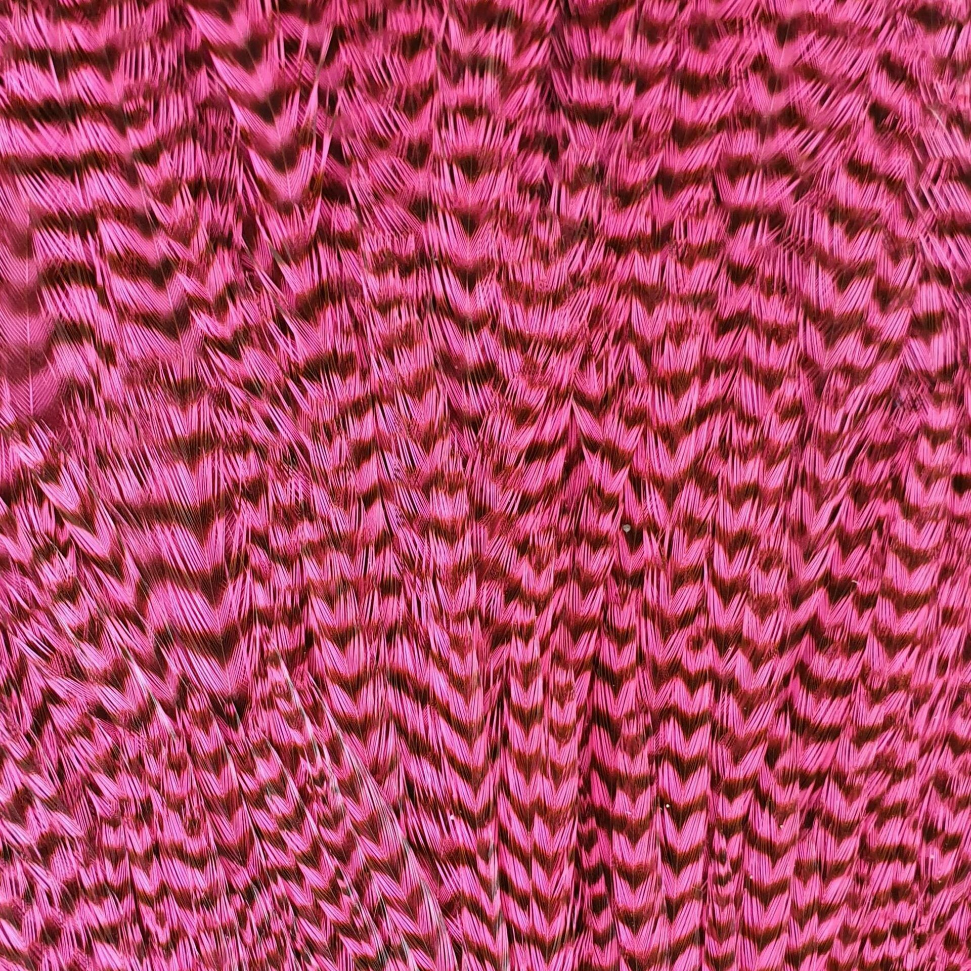 Metz #2 Magnum Rooster Neck Grizzly Pink