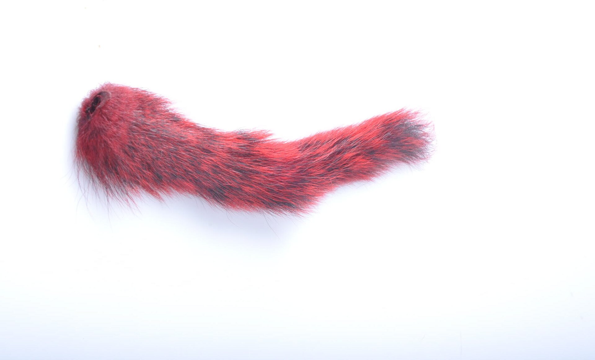 Wapsi Oravanhäntä Punainen