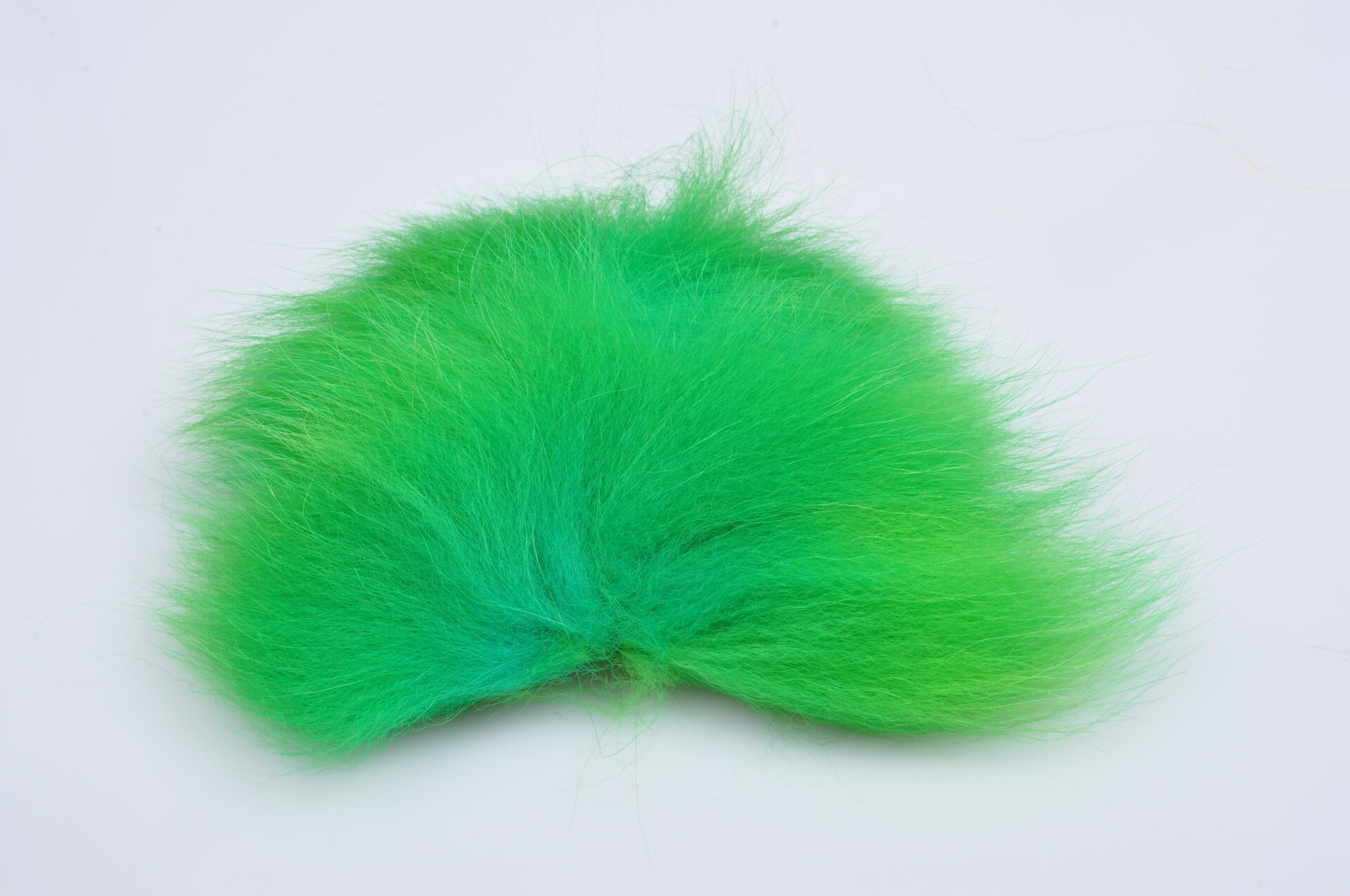 Silvergrey Arctic Fox Green Highlander