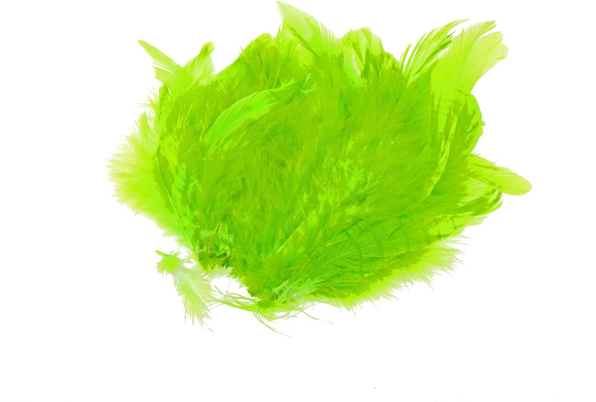 Schlappen Chartreuse