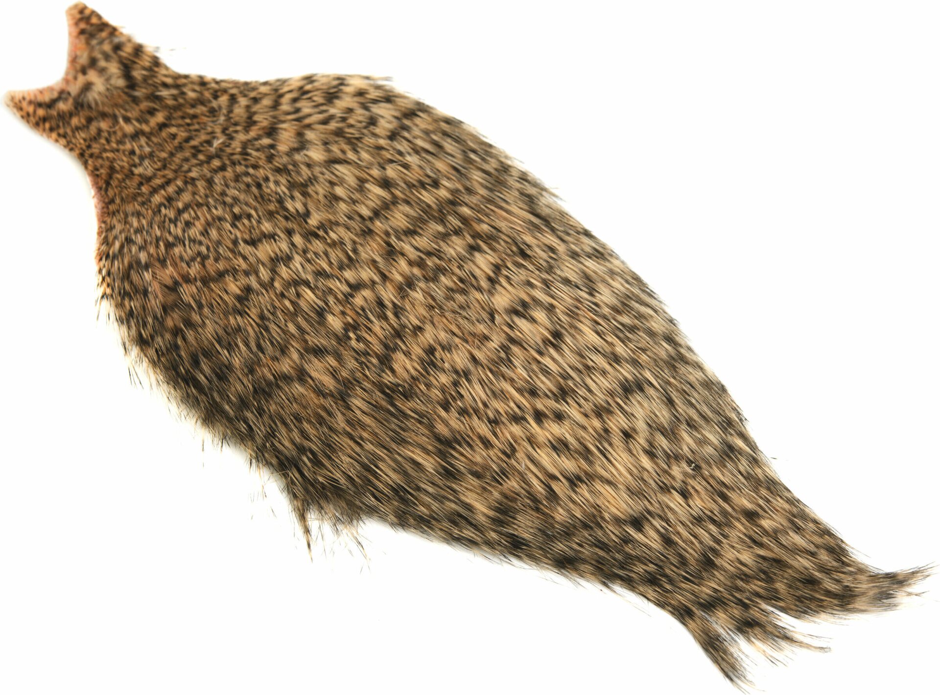 Whiting Spey Hackle Cape Bronze Grizzly Dyed Salmon