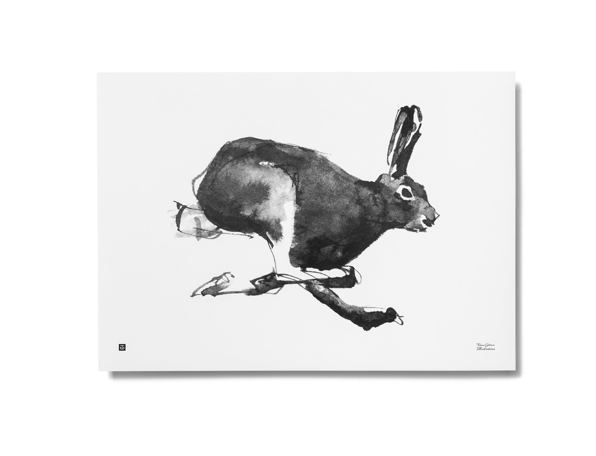 Teemu Järvi Paper Poster Large, 50 X 70 cm Hare