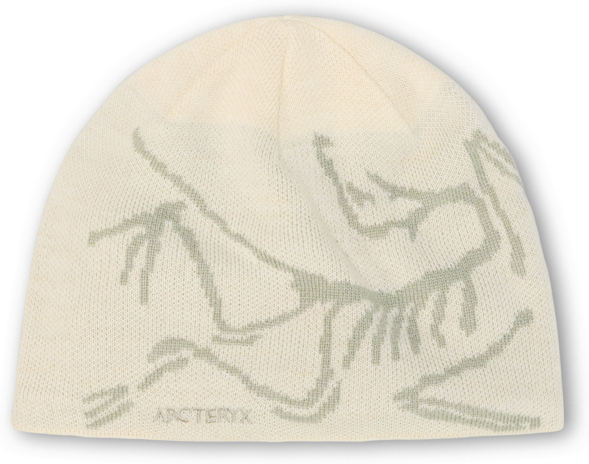 Arc'teryx Bird Head Toque Sea Salt / Habitat