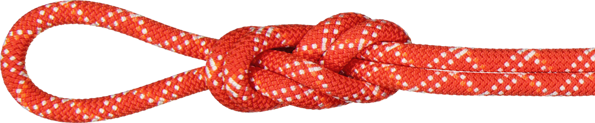 Mammut 9.5 Gym Classic Rope Raspberry-White
