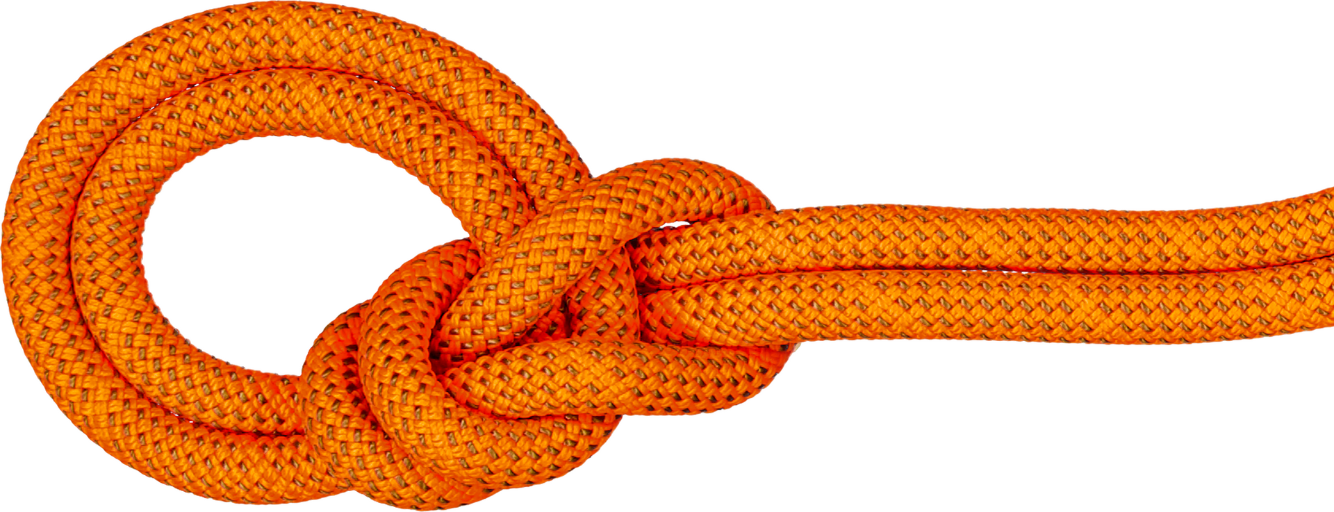 Mammut 9.8 Crag Dry Rope Safety Orange-Boa (Dry Standard)