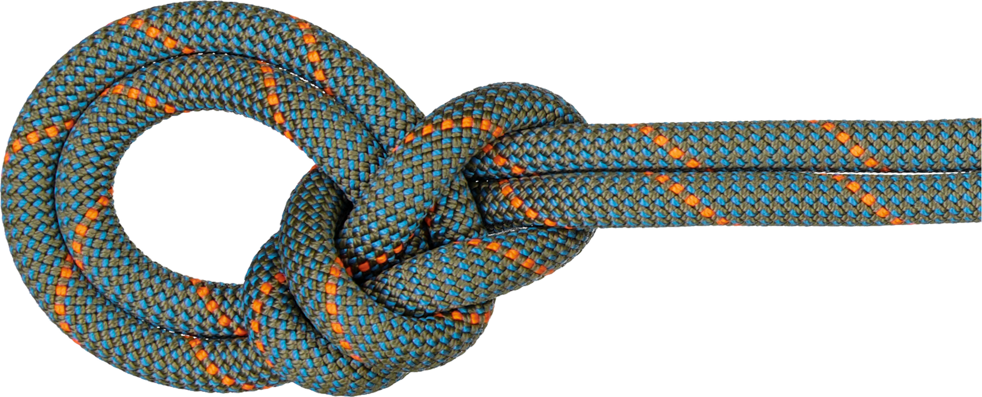 Mammut 9.9 Grag Workhorse Dry Rope Boa-Ocean (Dry Standard)