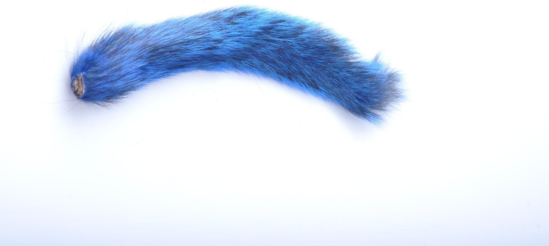 Wapsi Oravanhäntä Sininen