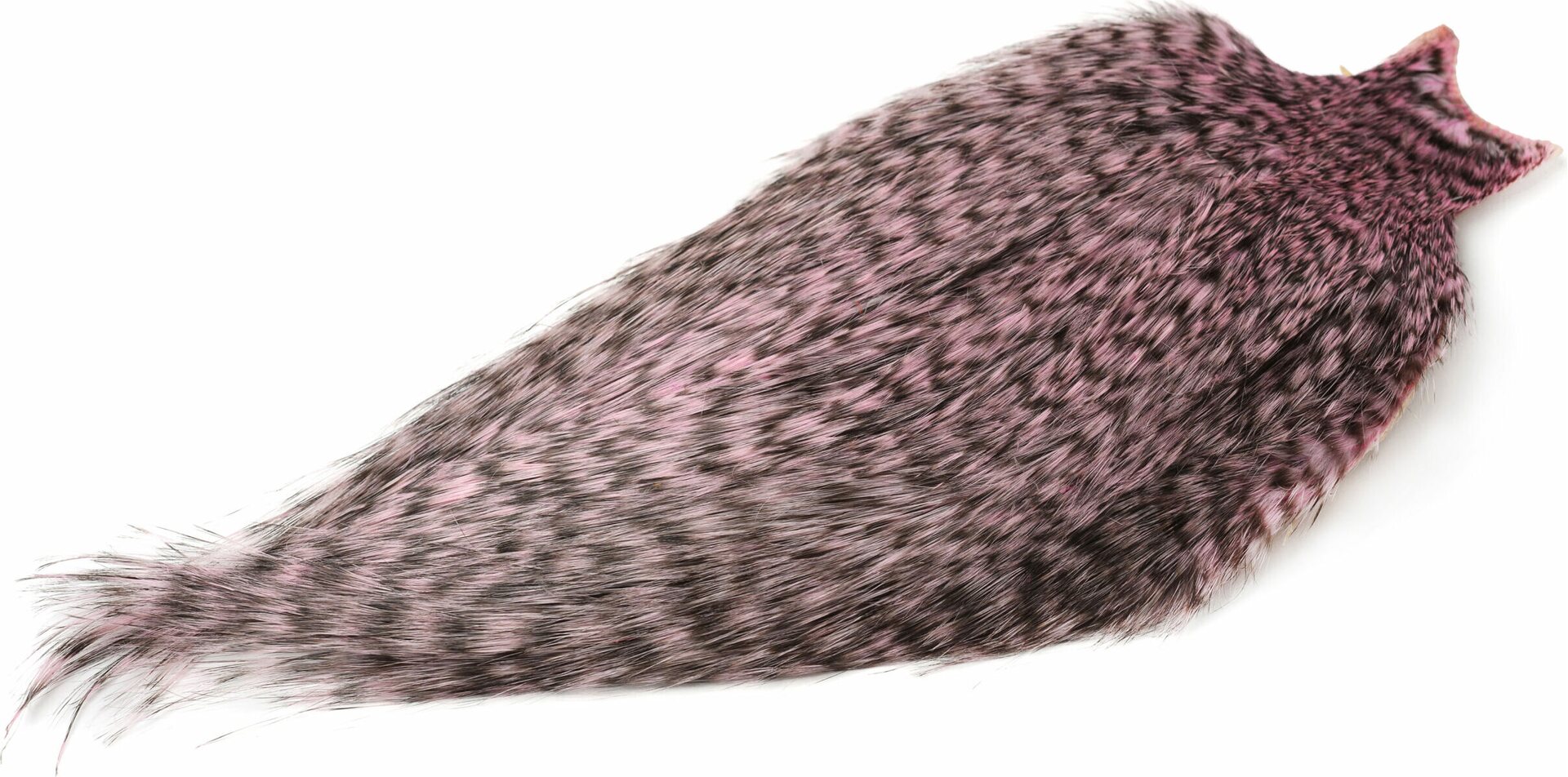 Whiting Spey Hackle Cape Bronze Grizzly Dyed Shell Pink