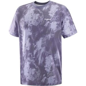 Salomon Canopy Print Tee Mens, Blue Granite, L