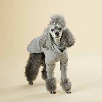 Paikka Recovery Shirt for Dogs, Grey, 55 cm