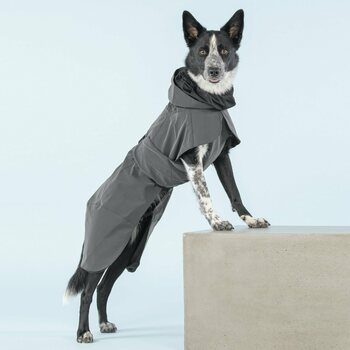 Paikka Visibility Raincoat for Dogs, Dark, 60 cm