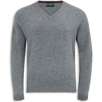 Alan Paine Streetly Vee Neck Pullover Mens, Grey Mix, L
