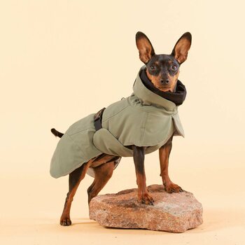 Paikka Visibility Winter Jacket for Dogs, Green, 50