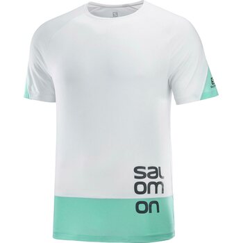 Salomon Cross Run Graphic Tee Mens, White / Pool Blue / Ebony, S