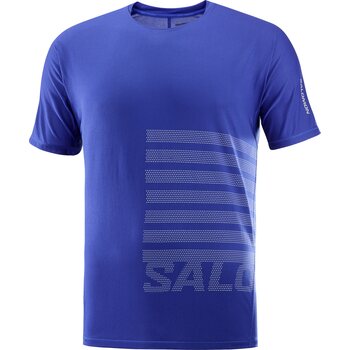 Salomon Sense Aero Short Sleeve Tee GFX Mens, Surf The Web / Rainy Day, XL