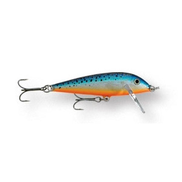 Blue Spotted Minnow