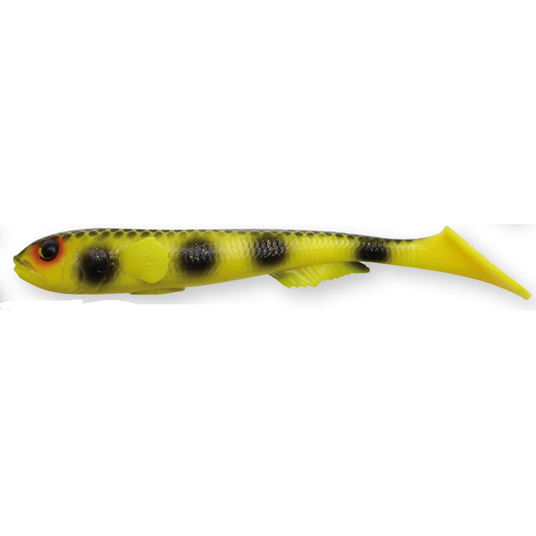 11 - Yellow Goby