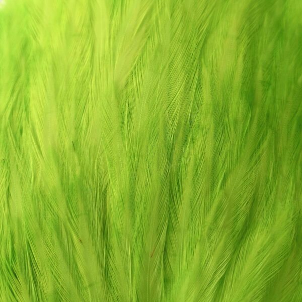 FL. Green Chartreuse