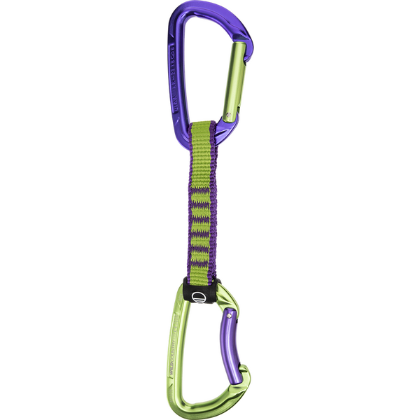 Purple / Green