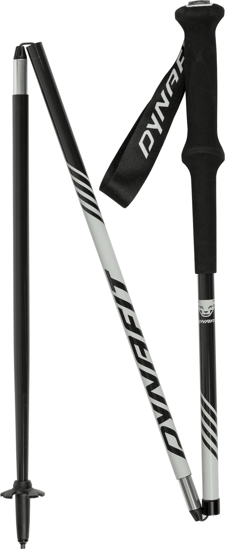 Dynafit Alpine Pro Pole Nimbus