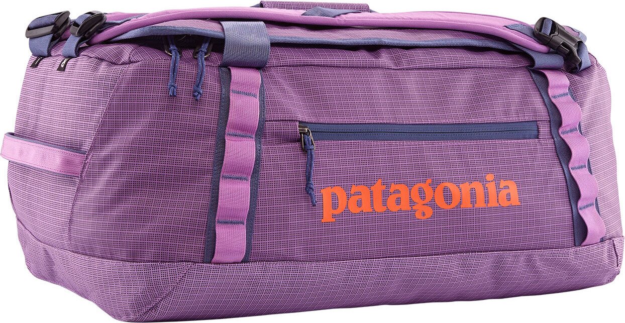 Patagonia Black Hole Duffel 40L Brisk Purple