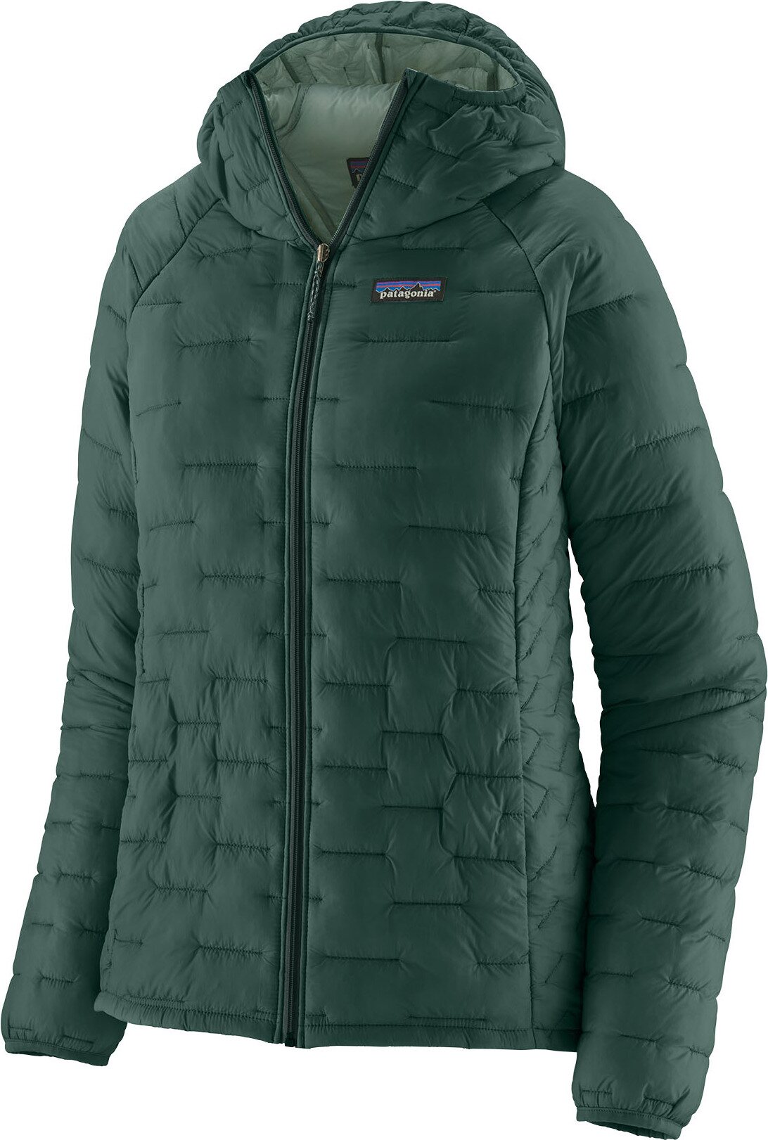Patagonia Micro Puff Hoody Womens Cascade Green