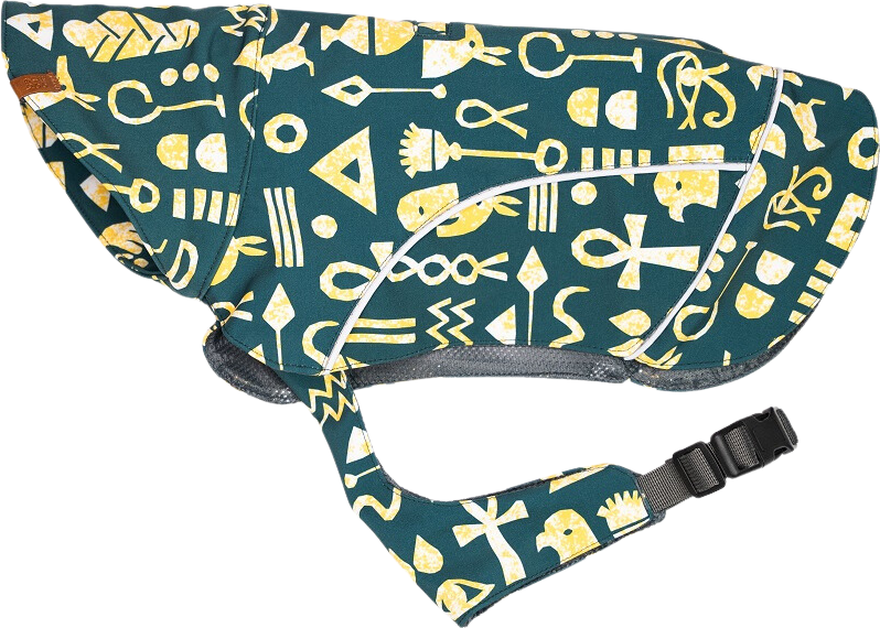 Beana Stormrider Raincoat Hieroglyphs