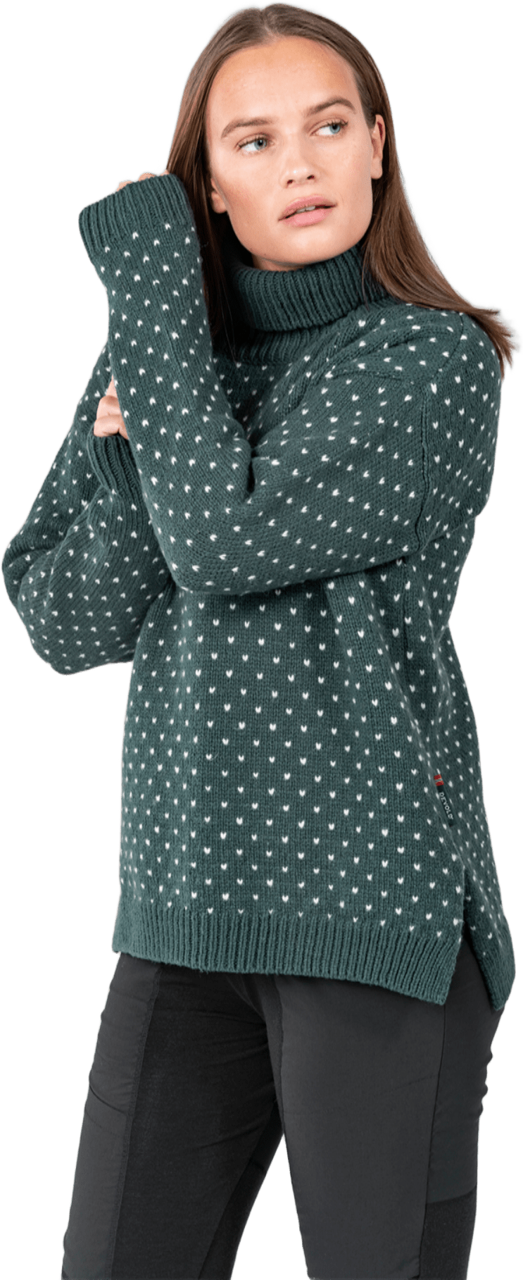 Devold Sörisen Wool High Neck Womens Woods / Offwhite