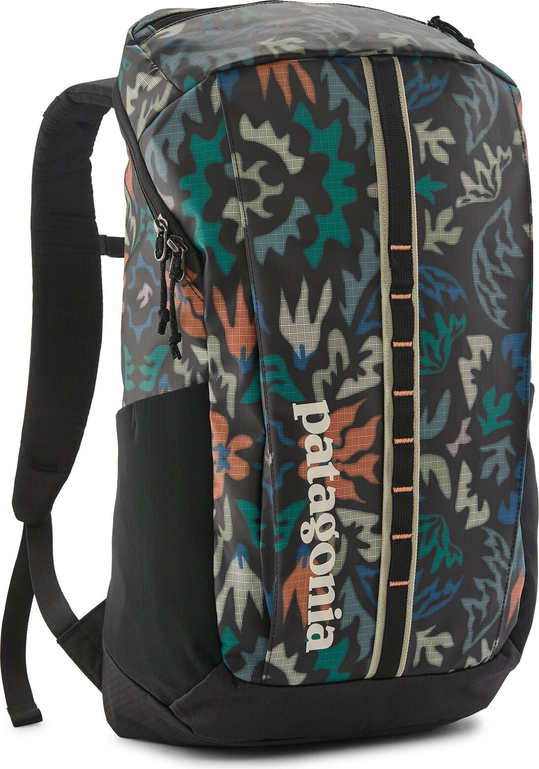 Patagonia Black Hole Pack 25L Kaleido: Black