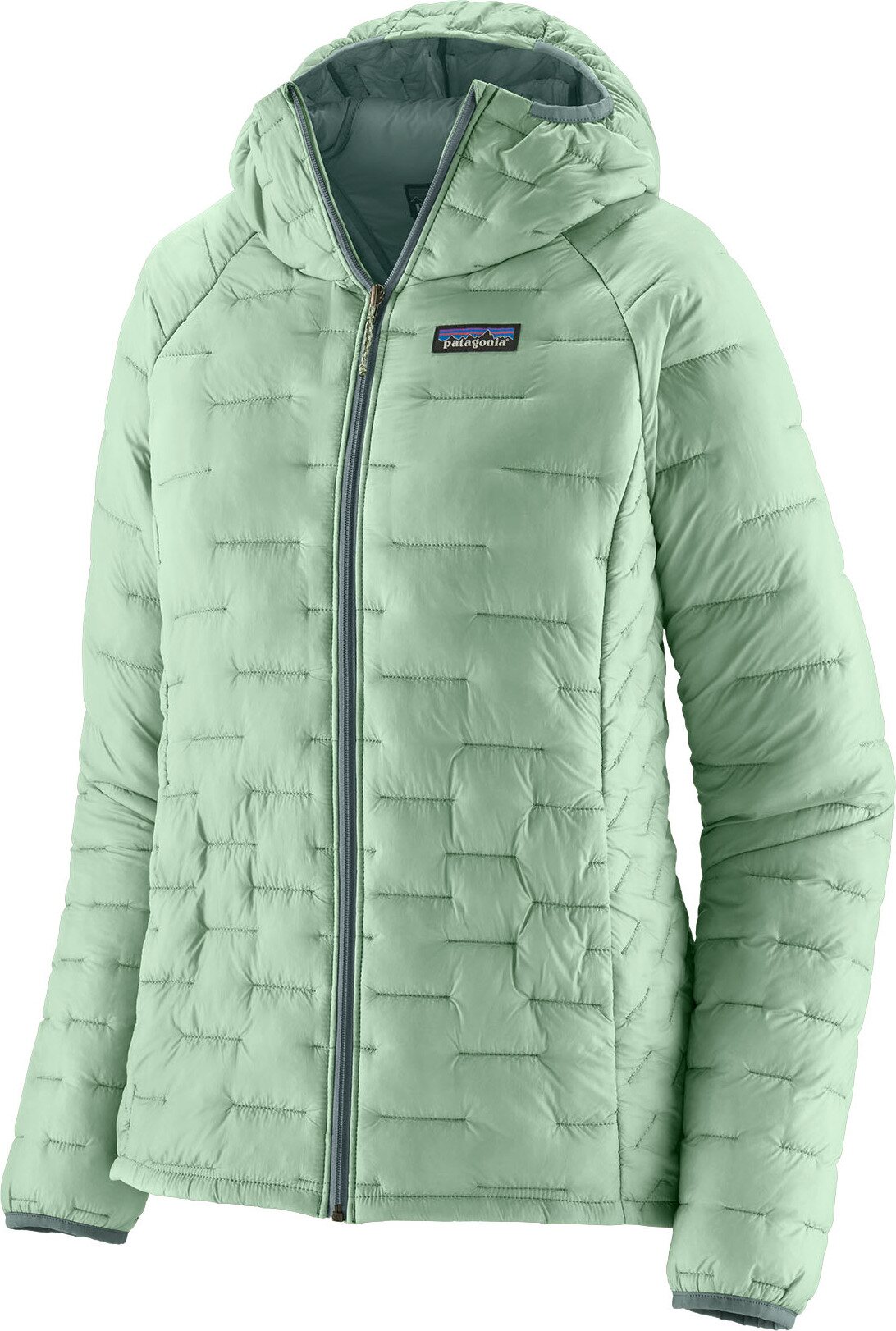 Patagonia Micro Puff Hoody Womens Thin Ice