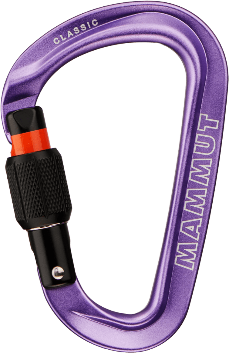 Mammut Classic HMS Screwgate Carabiner Alpine Calamint