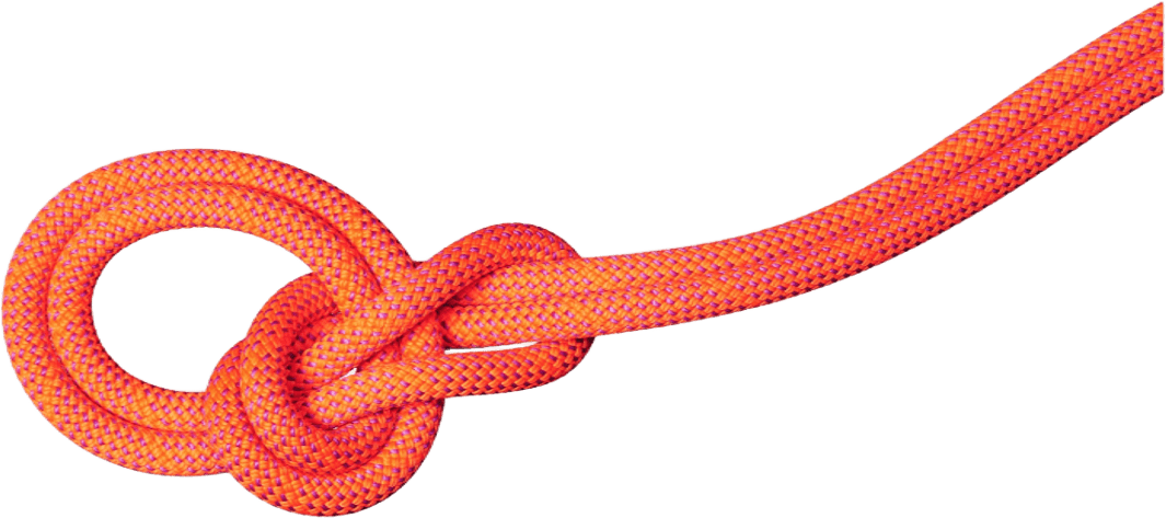 Mammut 9.8 Crag Dry Rope Vibrant Orange-Lavadin (2026)