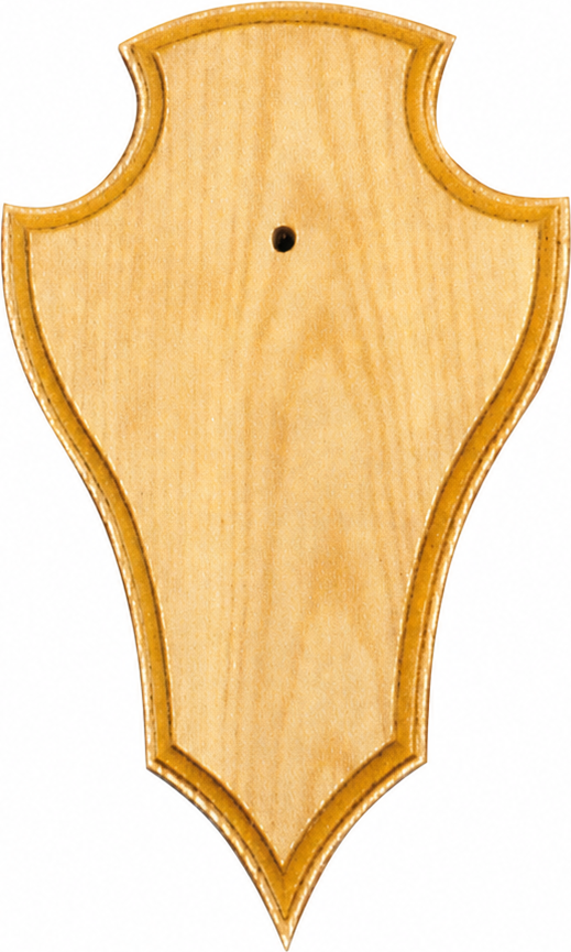 Trophy Board 22x13cm Bright