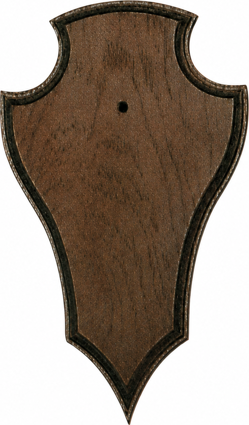 Trophy Board 22x13cm Dark