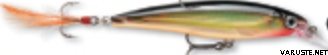 Rapala X-Rap 8cm XR-8 Gold