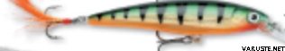 Rapala X-Rap 8cm XR-8 Perch
